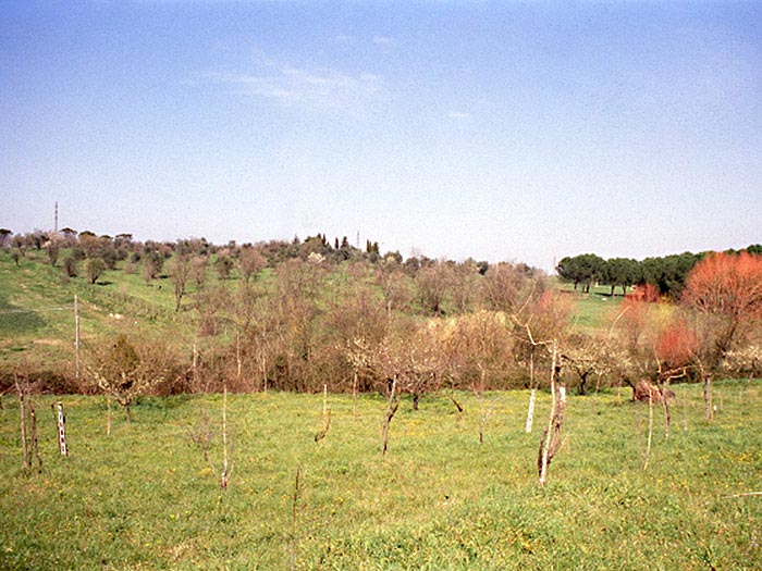 Veduta della collina su cui sorgeva Eretum.