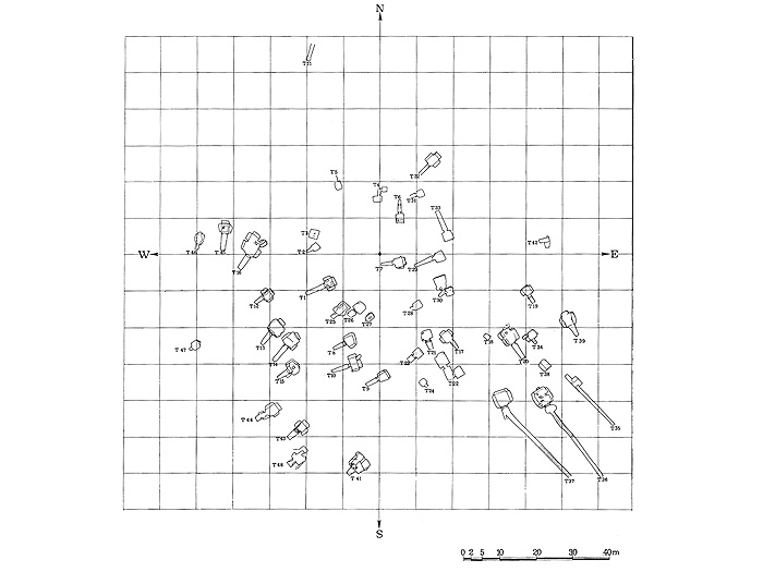 Pianta della necropoli di Poggio Sommavilla.