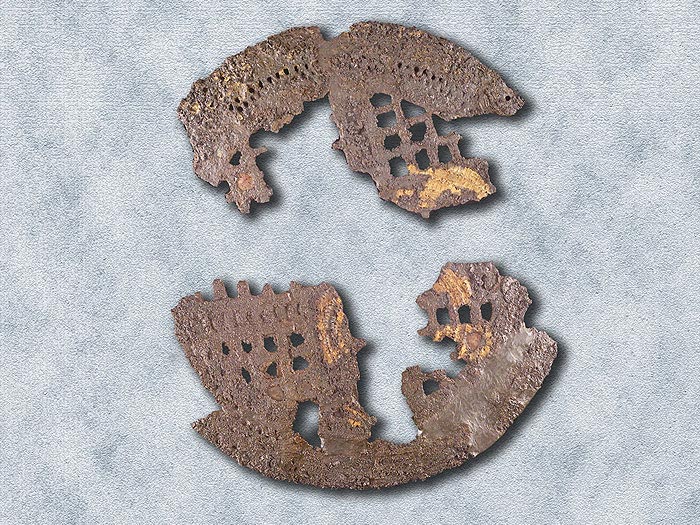 Dischi corazza in ferro, decorati con inserzioni in ambra.