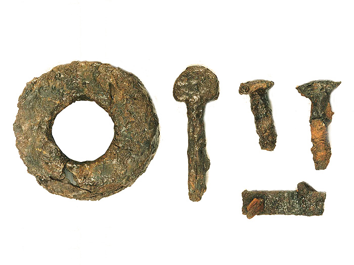 Frammenti del cocchio.