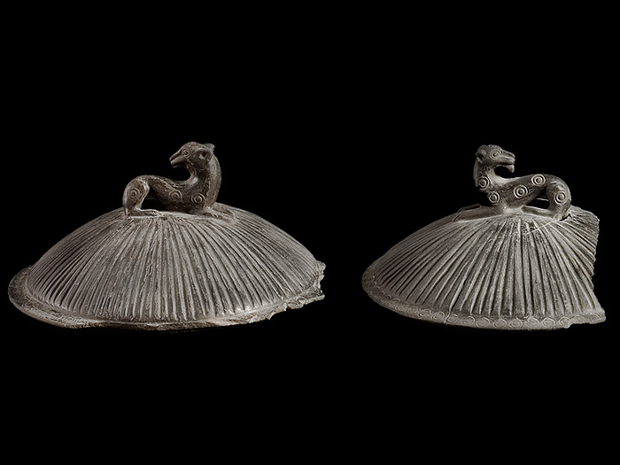  Due coperchi in impasto nero a bassa calotta emisferica, decorati a strigilature con presa a leoncino retrospicente, pertinenti a pissidi.