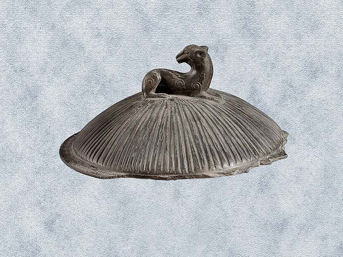  Coperchio in impasto nero a bassa calotta emisferica, decorato a strigilature con presa a leoncino retrospicente, pertinente a pisside.