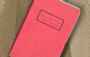 Immagine del diario di scavo