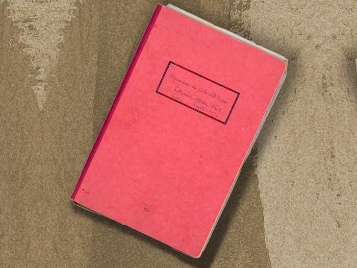 Immagine di una pagina originale del diario.