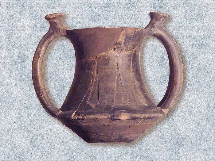  Vaso biansato di impasto lucidato a stecca proveniente dalla tomba X. Fara in Sabina, Museo Civico Archeologico.