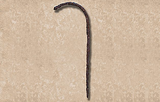 Il lituo proveniente dalla tomba XXXI. Fara in Sabina, Museo Archeologico. Si tratta di un bastone ricurvo usato dall'augure per delimitare lo spazio del cielo dove prendere l'auspicio.